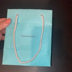 Tiffany’s & Co Dust bag